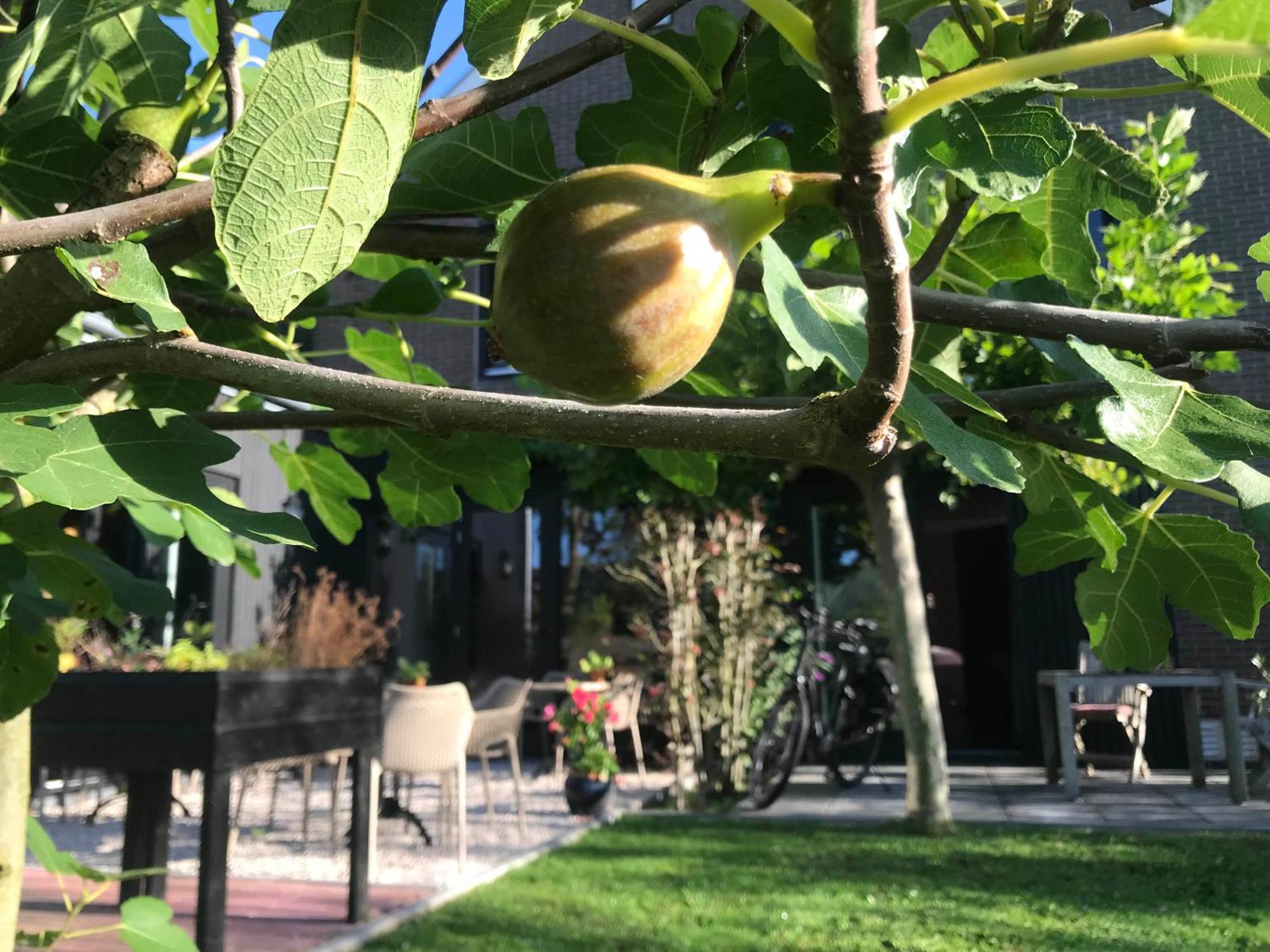 B&B De Pastorie Bij Dokkum Reitsum Dış mekan fotoğraf