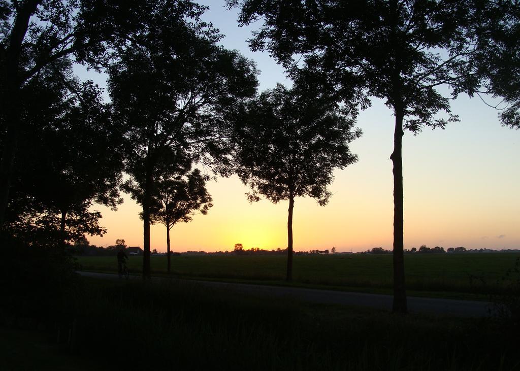 B&B De Pastorie Bij Dokkum Reitsum Dış mekan fotoğraf