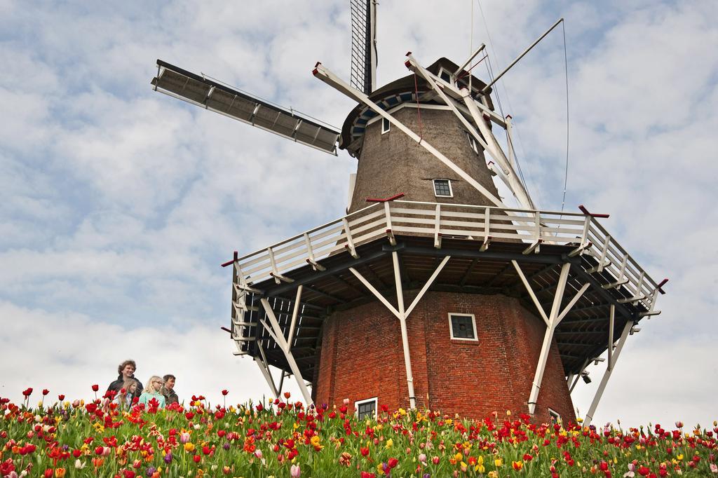 B&B De Pastorie Bij Dokkum Reitsum Dış mekan fotoğraf