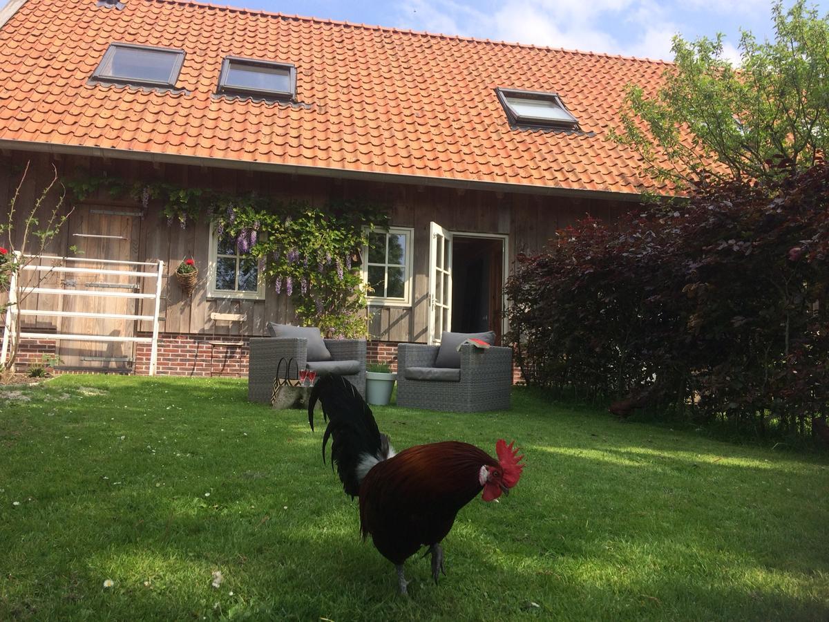 B&B De Pastorie Bij Dokkum Reitsum Dış mekan fotoğraf