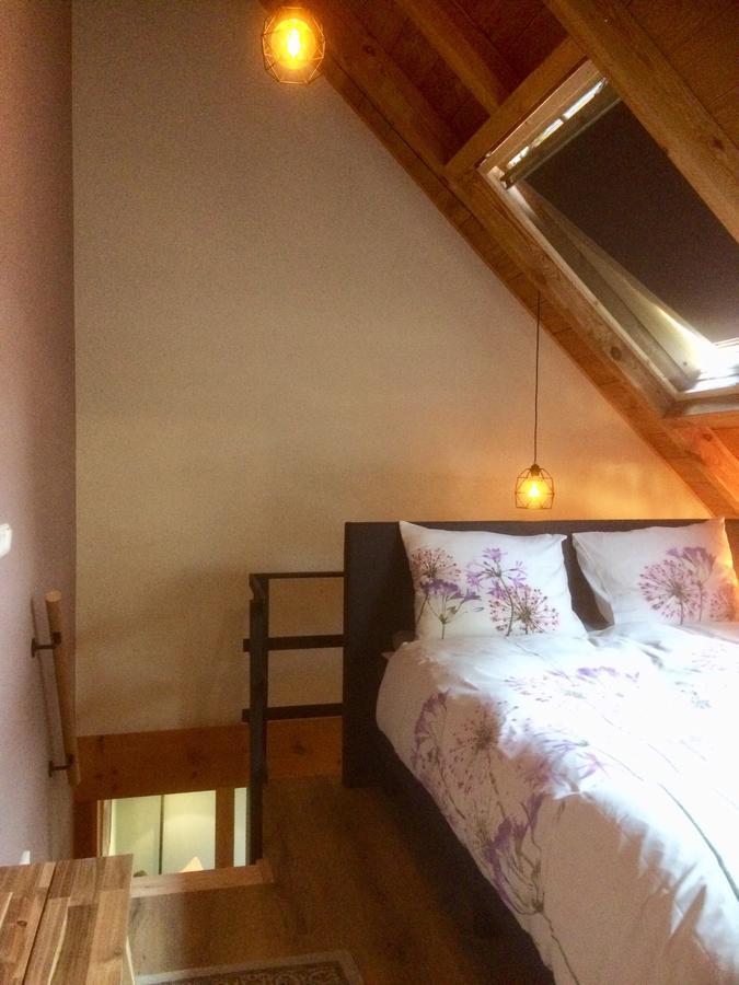 B&B De Pastorie Bij Dokkum Reitsum Dış mekan fotoğraf