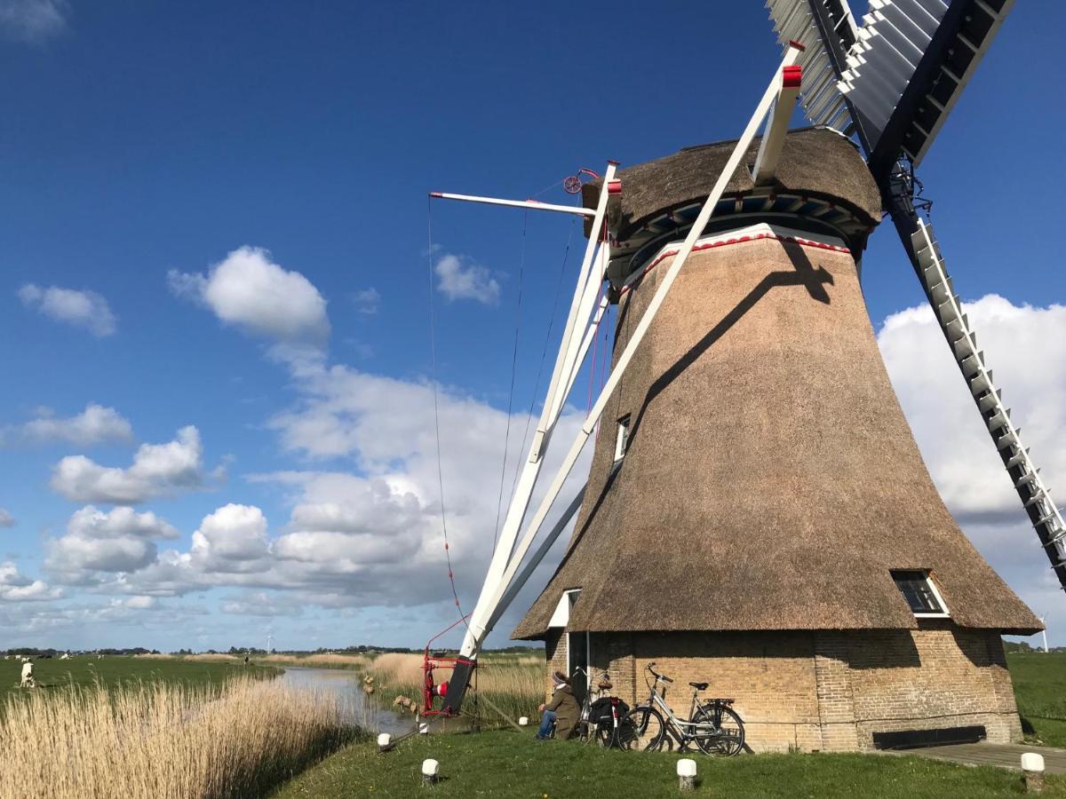 B&B De Pastorie Bij Dokkum Reitsum Dış mekan fotoğraf