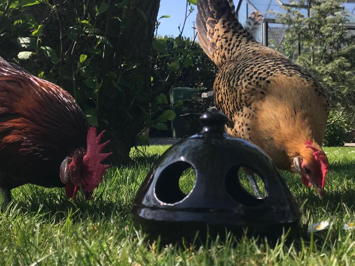 B&B De Pastorie Bij Dokkum Reitsum Dış mekan fotoğraf